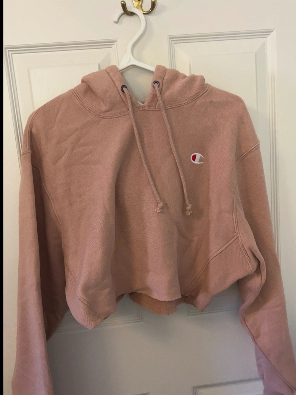 Champion Cropped Hoodie in Dusty Rose Pink